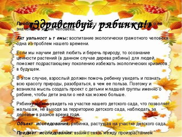 Экологический проект в младшей группе «Здравствуй, рябинка!»