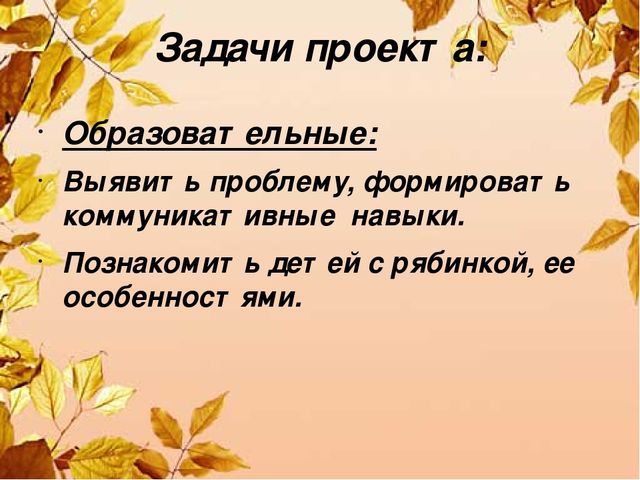 Экологический проект в младшей группе «Здравствуй, рябинка!»