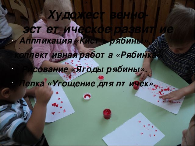 Экологический проект в младшей группе «Здравствуй, рябинка!»