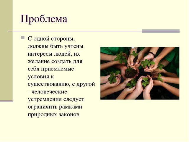 Презентация по окружающему миру
