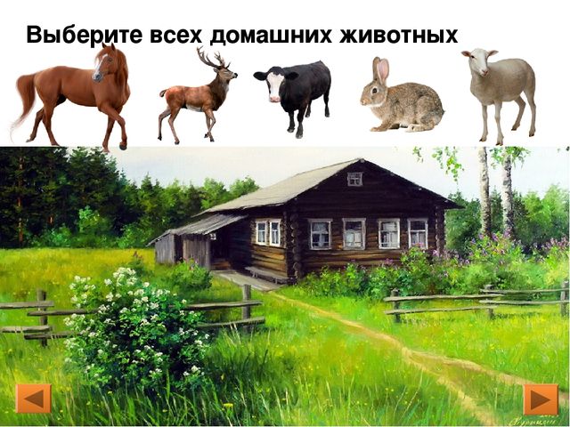 Презентация. Интерактивная игра для дошкольников «Дикие и домашние животные»