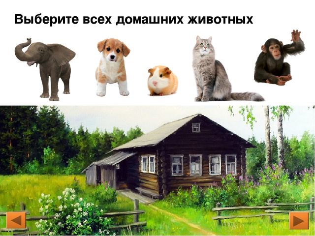 Презентация. Интерактивная игра для дошкольников «Дикие и домашние животные»