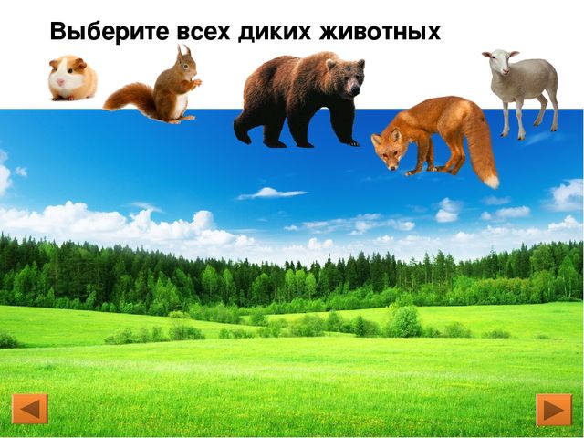 Презентация. Интерактивная игра для дошкольников «Дикие и домашние животные»
