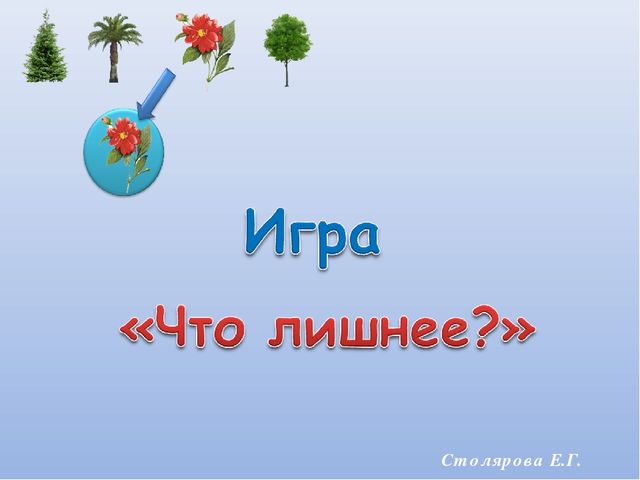 ПРЕЗЕНТАЦИЯ. Игра: «Что лишнее?»