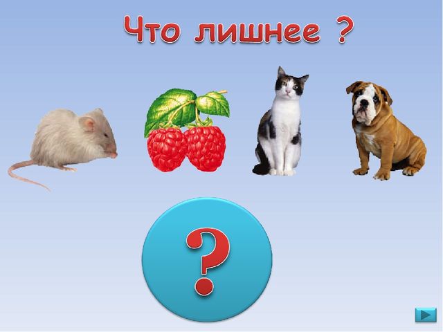 ПРЕЗЕНТАЦИЯ. Игра: «Что лишнее?»