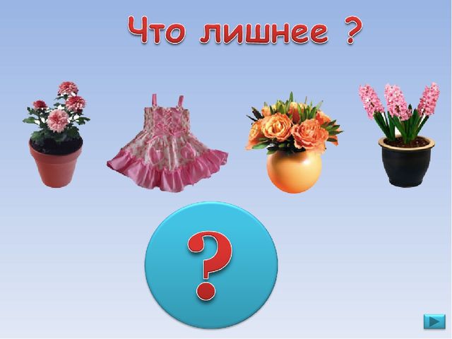 ПРЕЗЕНТАЦИЯ. Игра: «Что лишнее?»