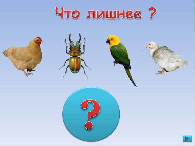 ПРЕЗЕНТАЦИЯ. Игра: «Что лишнее?»
