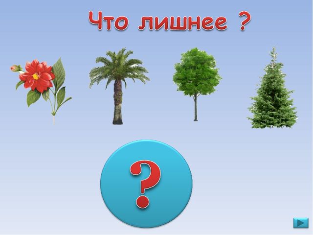 ПРЕЗЕНТАЦИЯ. Игра: «Что лишнее?»