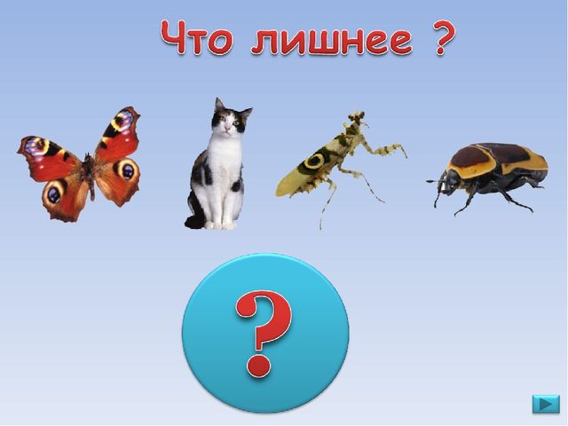 ПРЕЗЕНТАЦИЯ. Игра: «Что лишнее?»