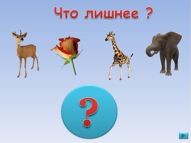 ПРЕЗЕНТАЦИЯ. Игра: «Что лишнее?»