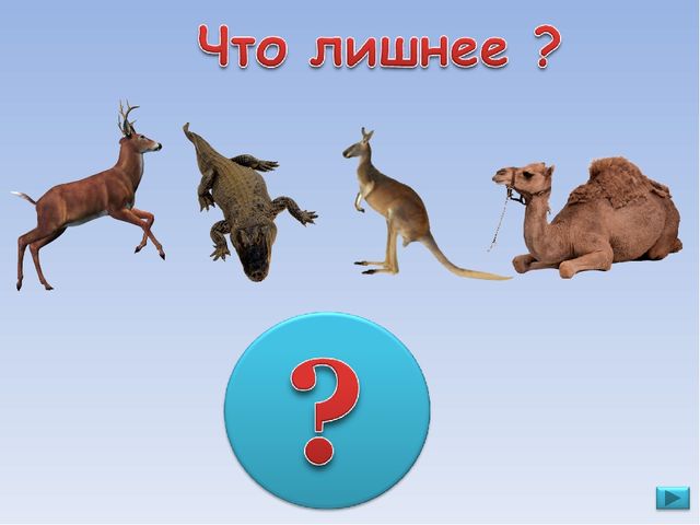 ПРЕЗЕНТАЦИЯ. Игра: «Что лишнее?»