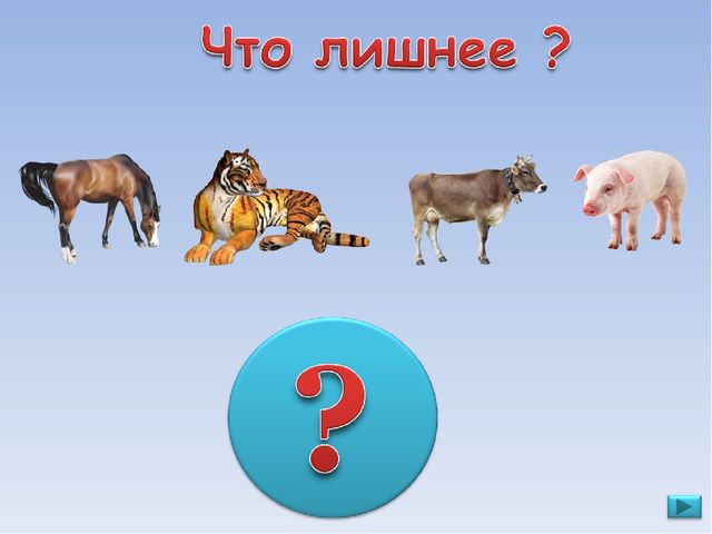ПРЕЗЕНТАЦИЯ. Игра: «Что лишнее?»