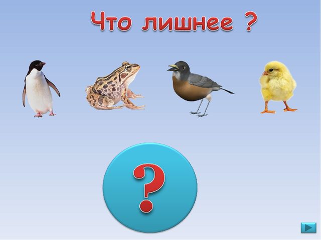 ПРЕЗЕНТАЦИЯ. Игра: «Что лишнее?»