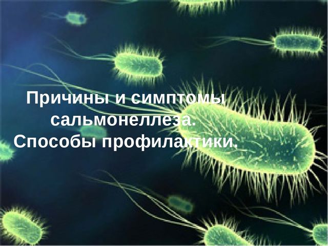 Основы педиатрии и гигиены детей раннего и дошкольного возраста.