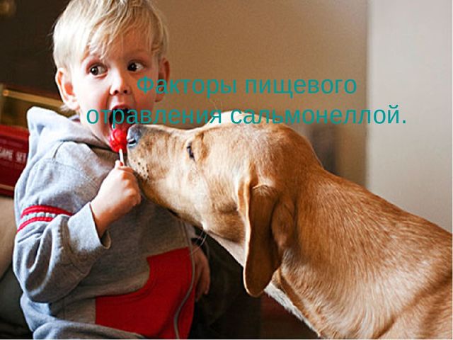 Основы педиатрии и гигиены детей раннего и дошкольного возраста.