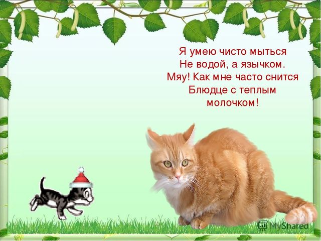 Презентация по ознакомлению с миром природы