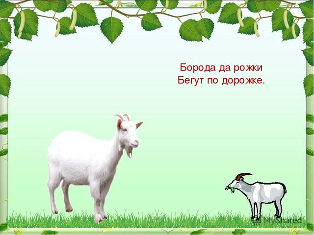 Презентация по ознакомлению с миром природы