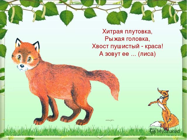 Презентация по ознакомлению с миром природы