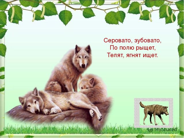 Презентация по ознакомлению с миром природы