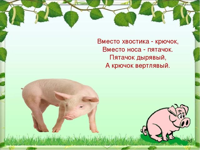 Презентация по ознакомлению с миром природы