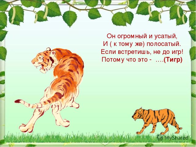 Презентация по ознакомлению с миром природы