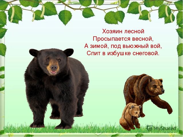 Презентация по ознакомлению с миром природы
