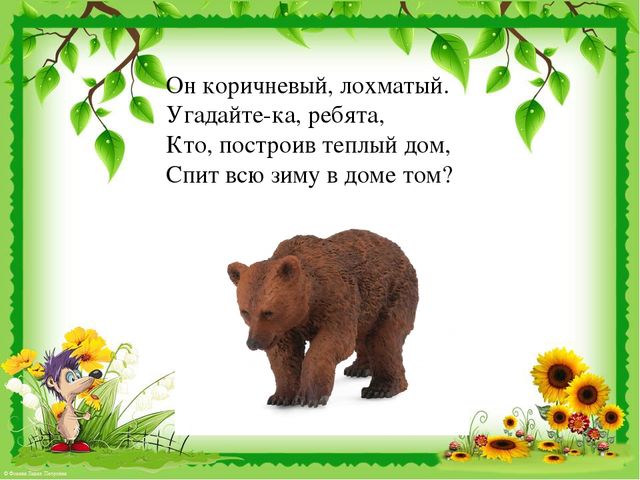 Презентация по развитию речи на тему "Звук [ж]. Дикие животные".