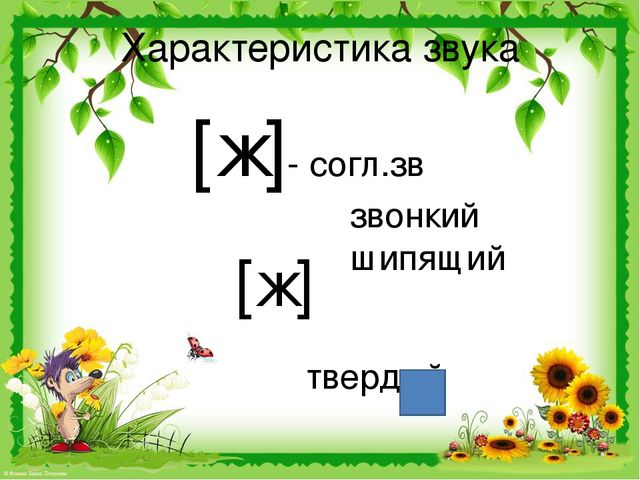 Презентация звук ж. Характеристика звука ж. Характеристика буквы ж. Охарактеризуйте звук ж. Характеристика звуков ж и ш.