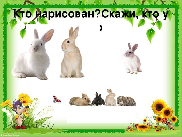 Презентация по развитию речи на тему "Звук [ж]. Дикие животные".