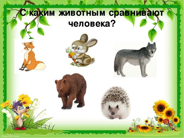 Презентация по развитию речи на тему "Звук [ж]. Дикие животные".