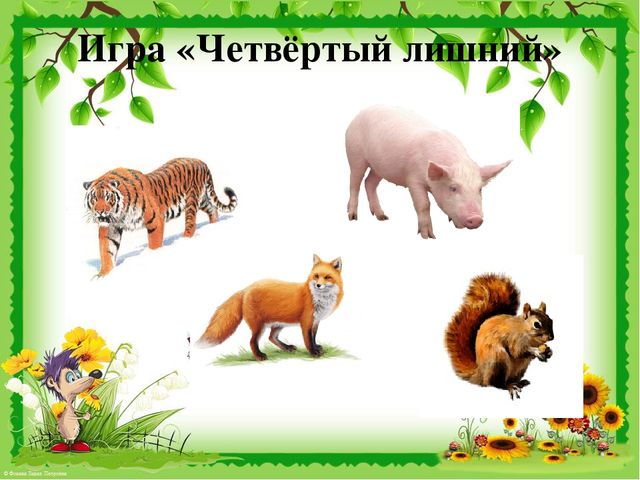 Презентация по развитию речи на тему "Звук [ж]. Дикие животные".