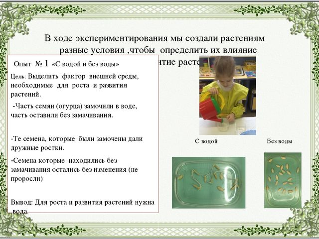 Экологический проект в младшей группе "Огород на подоконнике".