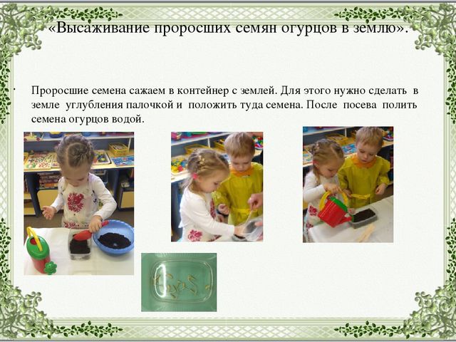 Экологический проект в младшей группе "Огород на подоконнике".