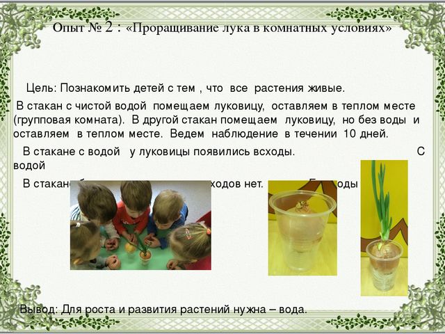 Экологический проект в младшей группе "Огород на подоконнике".