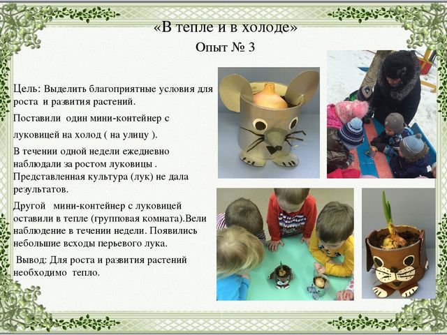 Экологический проект в младшей группе "Огород на подоконнике".