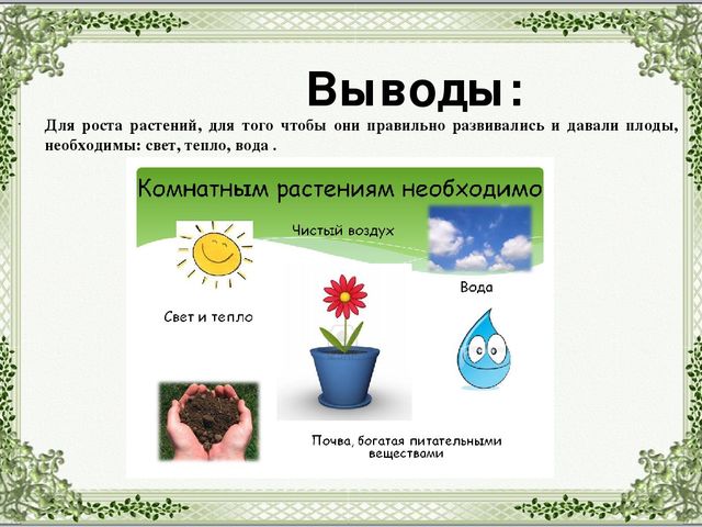 Экологический проект в младшей группе "Огород на подоконнике".
