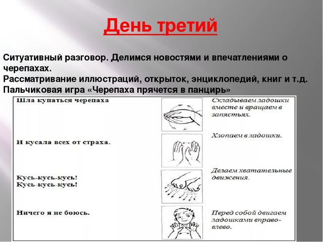 Проект " красноухая черепаха " подготовительная группа презентация