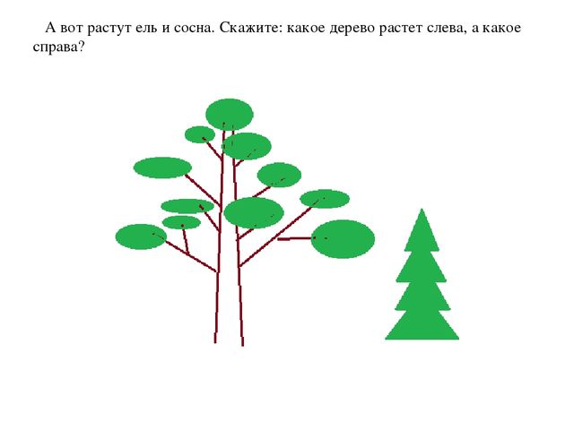 Презентация к НОД поматематике на тему "Точка. Прямая."