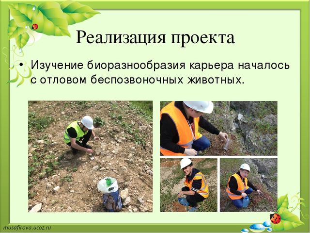 Презентация "Экологическое образование в Гуровском карьере"