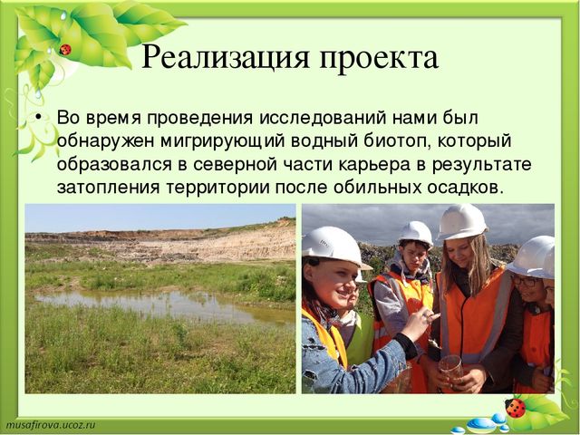 Презентация "Экологическое образование в Гуровском карьере"
