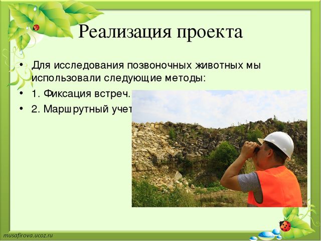 Презентация "Экологическое образование в Гуровском карьере"