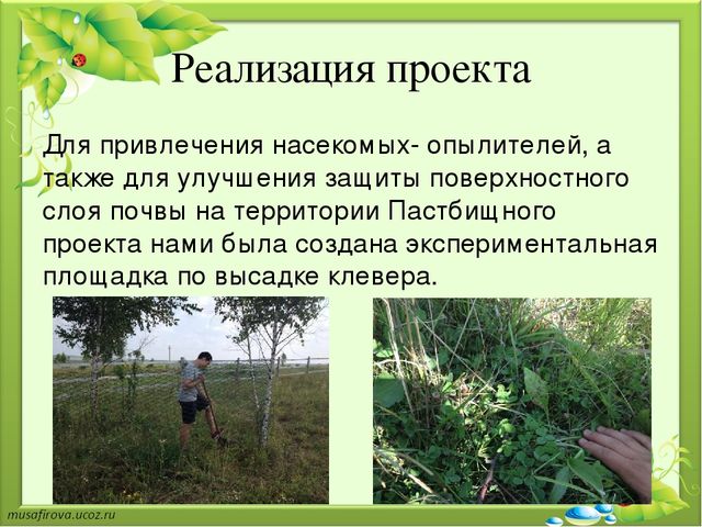 Презентация "Экологическое образование в Гуровском карьере"