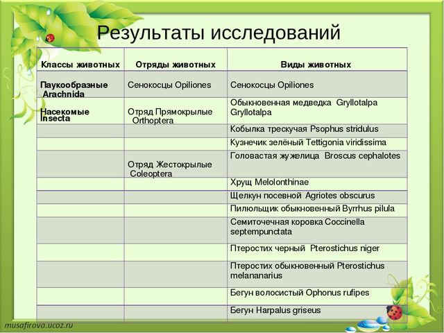 Презентация "Экологическое образование в Гуровском карьере"