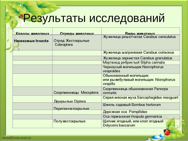 Презентация "Экологическое образование в Гуровском карьере"