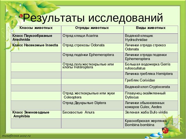Презентация "Экологическое образование в Гуровском карьере"