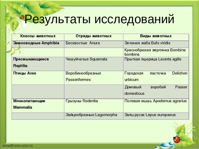 Презентация "Экологическое образование в Гуровском карьере"