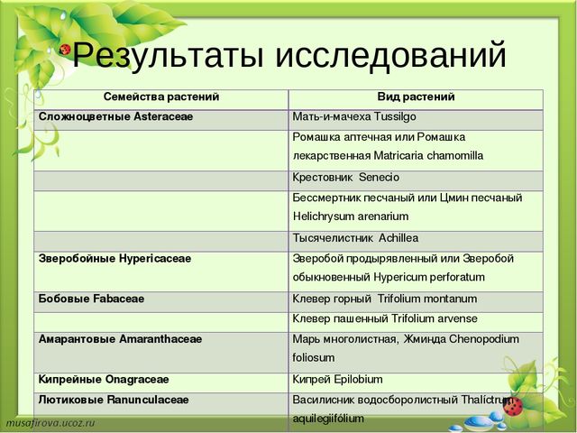 Презентация "Экологическое образование в Гуровском карьере"