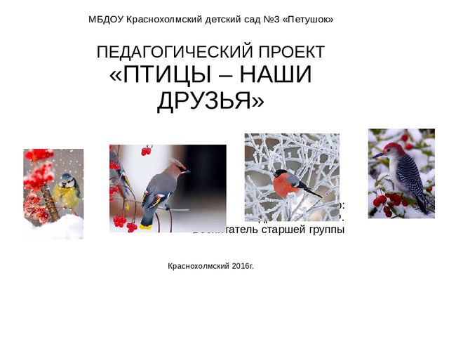 Презентация педагогического проекта "Птицы -наши друзья"