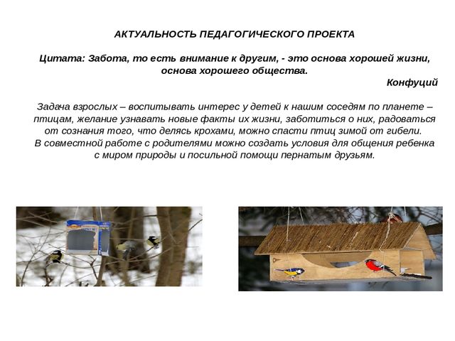 Презентация педагогического проекта "Птицы -наши друзья"