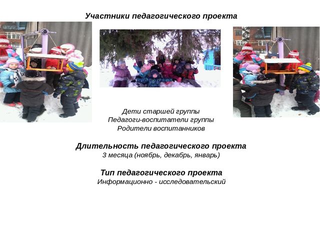 Презентация педагогического проекта "Птицы -наши друзья"